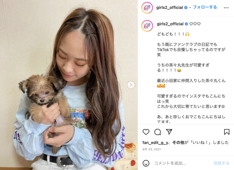小田将成の姉は小田柚葉